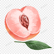 乐购直播免费进网站APP应用